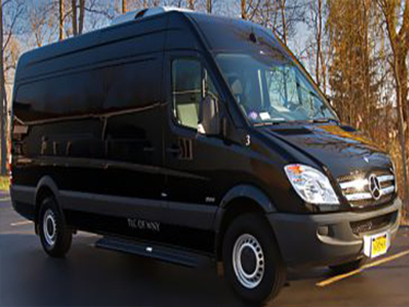 Party bus rental