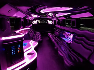 Limo neon lights